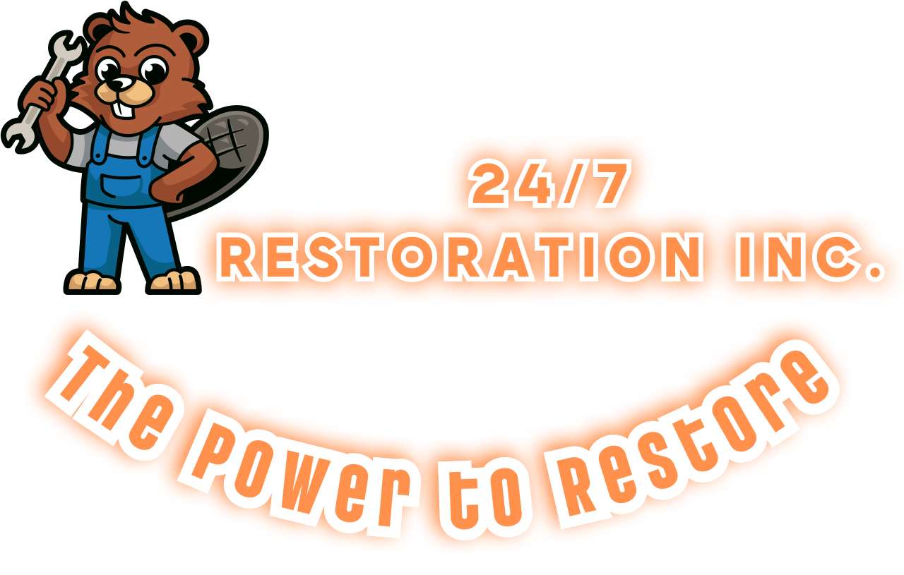 Logo Footer